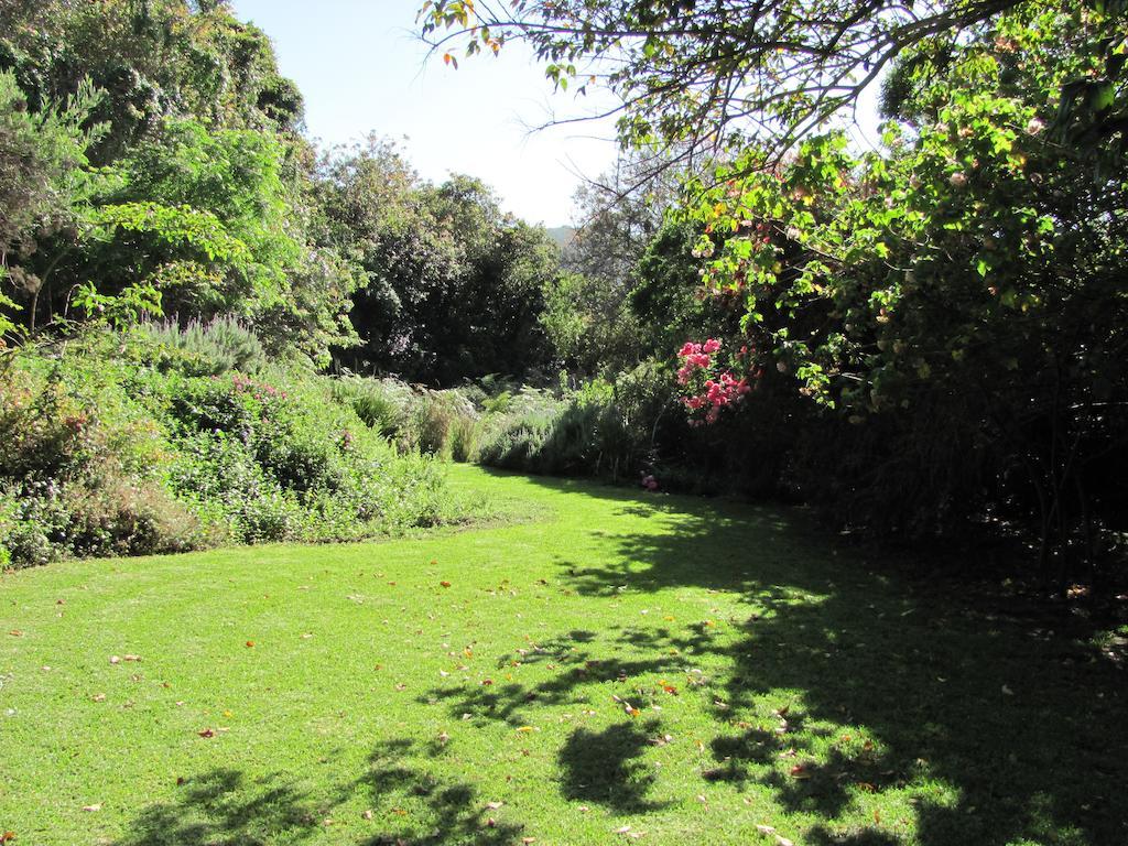 Kingfisher Country House Wilderness Exteriör bild